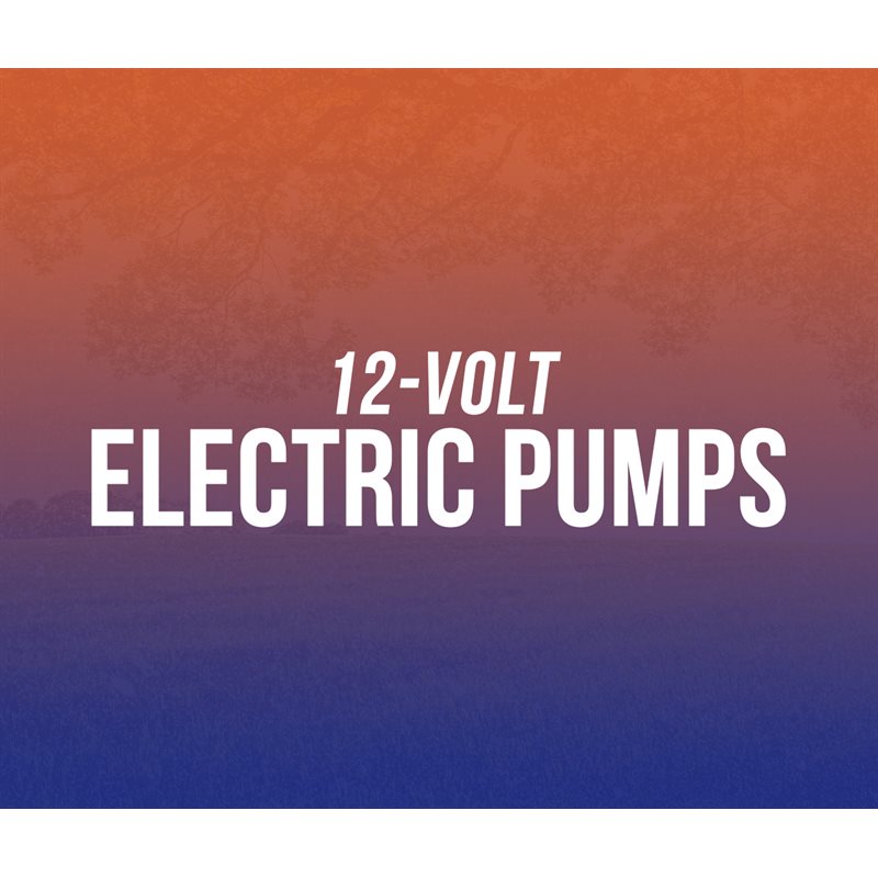 12 volt Electric Pumps