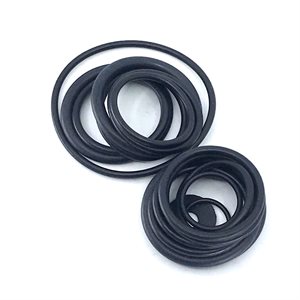 Hydraulic Motor Seal Kit for Eaton T Series hydraulic motor with 1" shaft