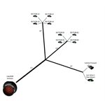 23-Pin LiquiShift Valve Stack Cable (A1-A4, B1-B4, pres, flow return)