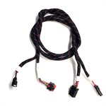 12-Pin Ampseal & 2-Pin Molex Power 30' CANBUS Center Extension Cable